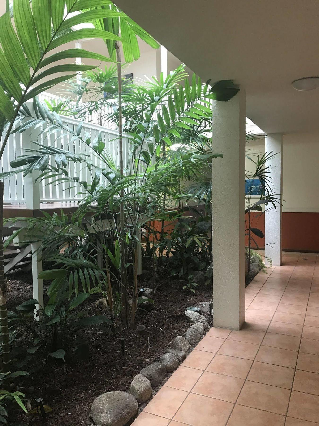 Port Douglas Palm Villas Exterior photo